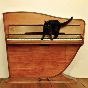 双飞儿媳妇和她闺蜜免费阅读
