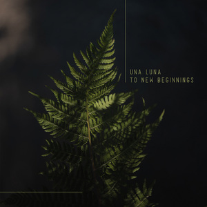 双飞儿媳妇和她闺蜜免费阅读
